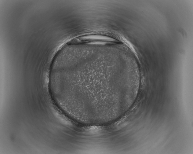 X0000112060059200908251030