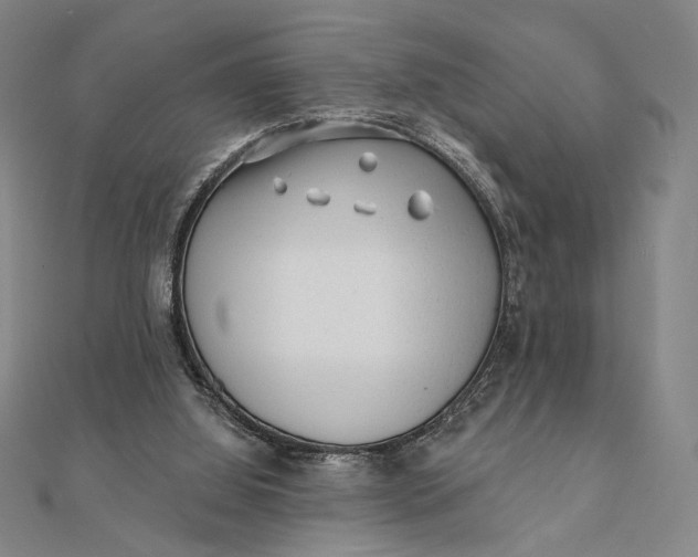 X0000112060060200908251030