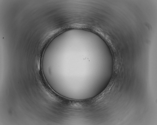 X0000112060062200908251030