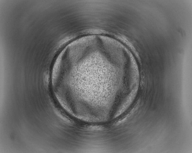 X0000112060063200908251030