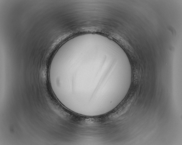 X0000112060064200908251030