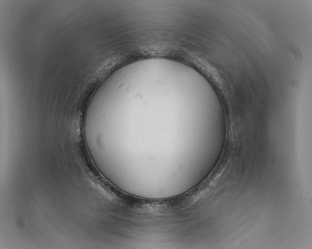 X0000112060065200908251030