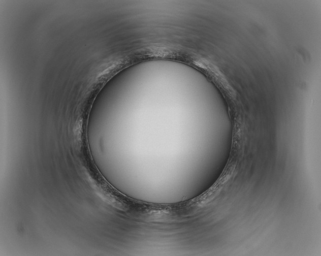 X0000112060066200908251030