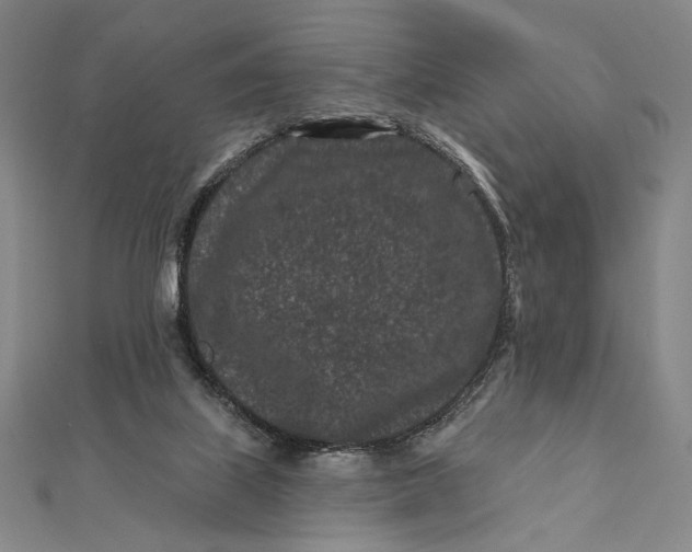 X0000112060067200908251030