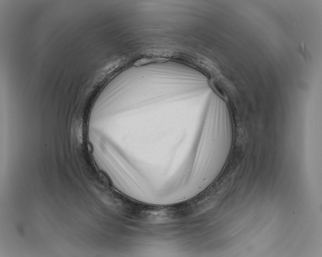 X0000112060068200908251030