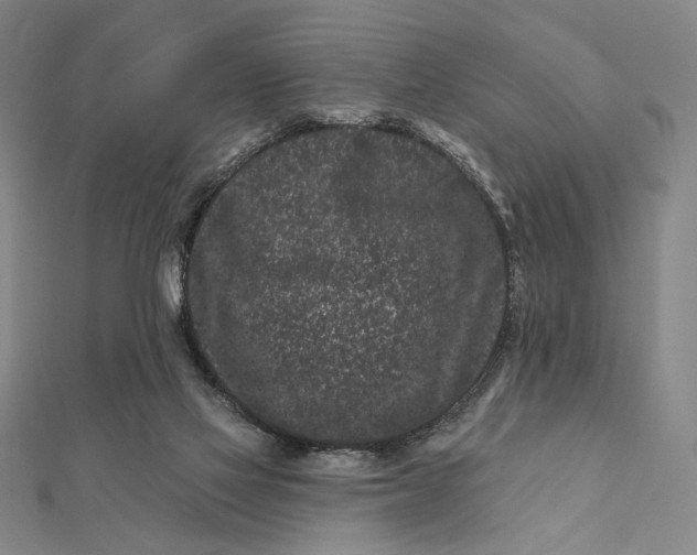 X0000112060069200908251030