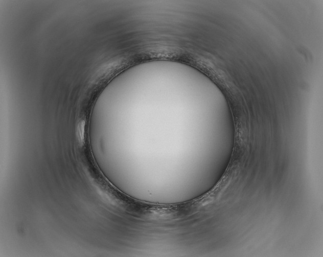 X0000112060070200908251030