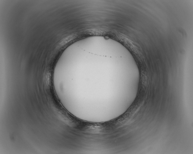 X0000112060071200908251030