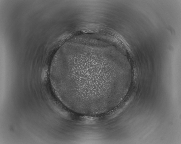 X0000112060073200908251030