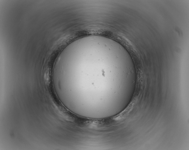 X0000112060074200908251030