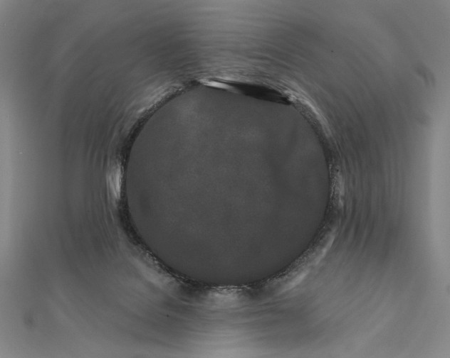 X0000112060076200908251030