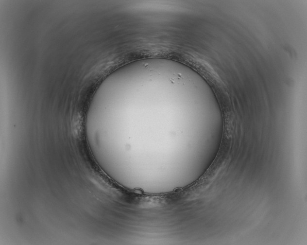 X0000112060077200908251030