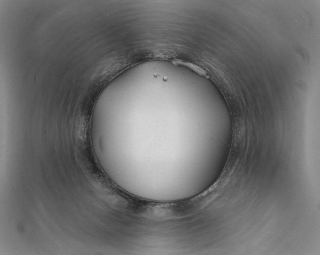 X0000112060078200908251030