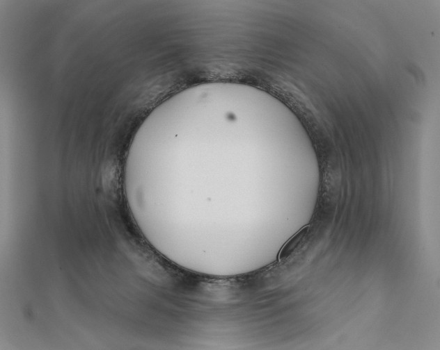 X0000112060079200908251030