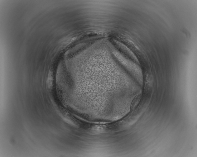 X0000112060080200908251030