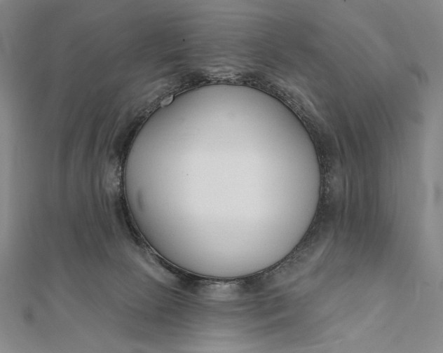 X0000112060081200908251030