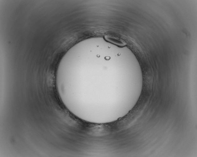 X0000112060083200908251030