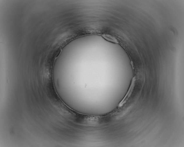 X0000112060084200908251030