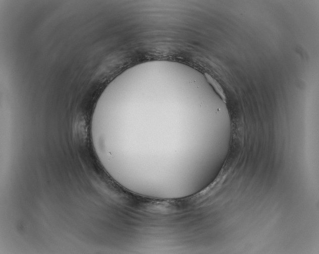 X0000112060086200908251030