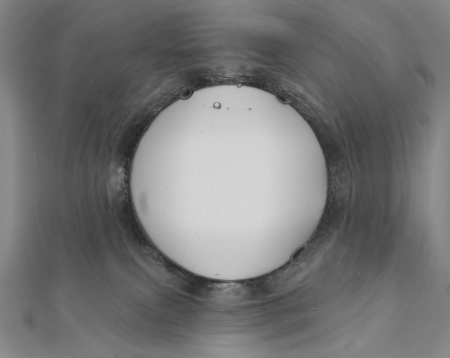 X0000112060087200908251030