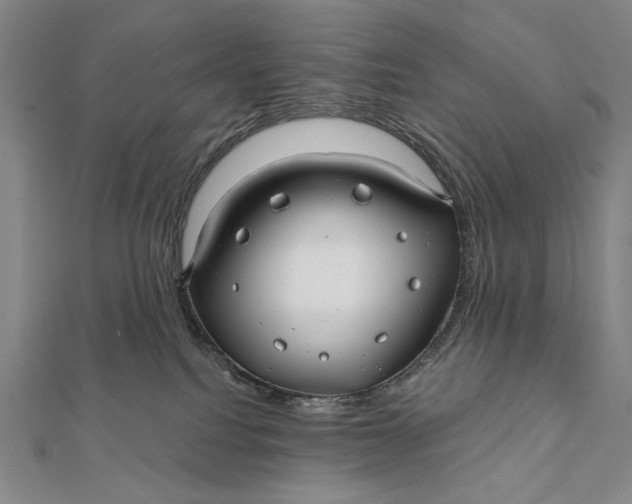 X0000112060088200908251030