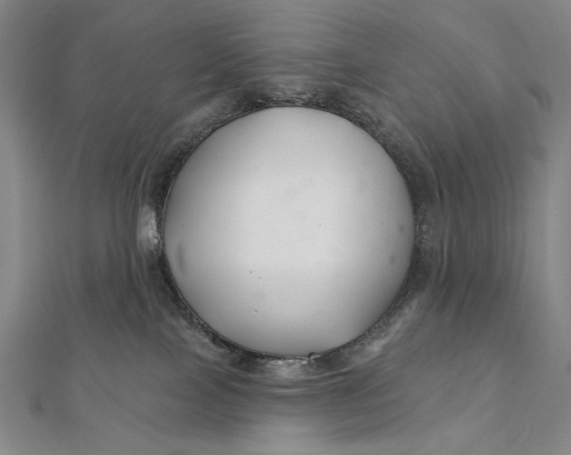 X0000112060089200908251030