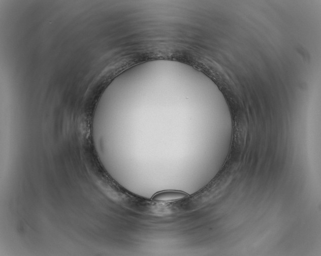 X0000112060091200908251030