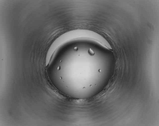 X0000112060092200908251030