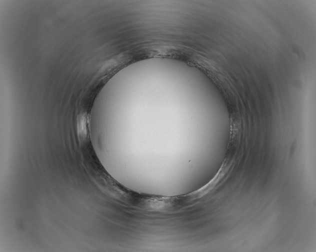 X0000112060094200908251030