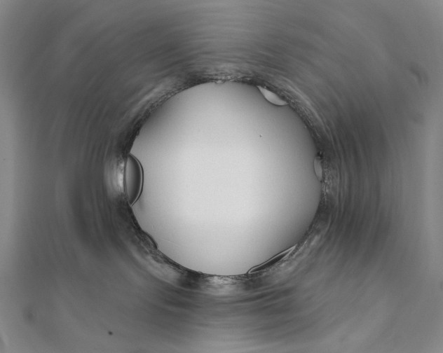 X0000112060095200908251030