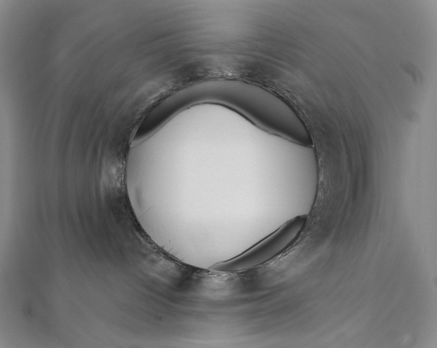 X0000112060096200908251030