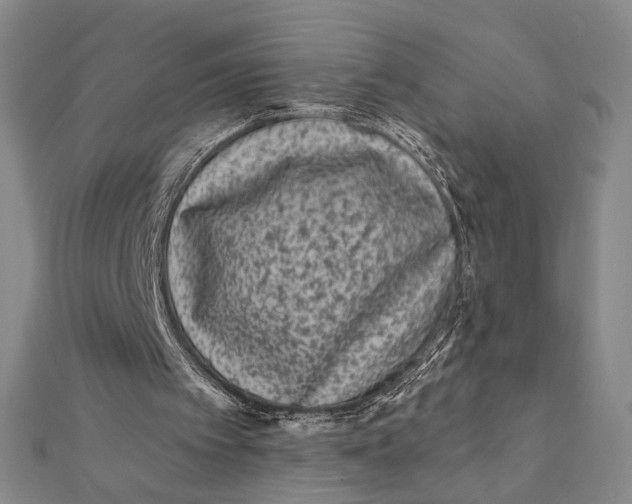 X0000112060097200908251030