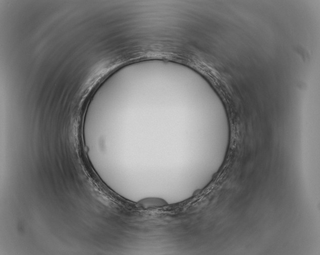 X0000112060098200908251030