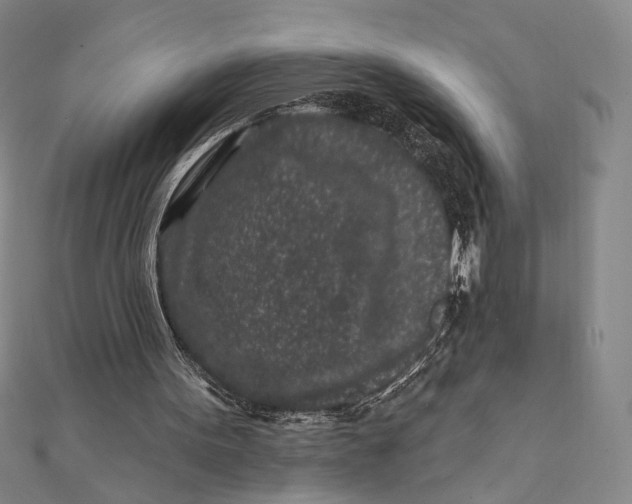 X0000112060099200908251030