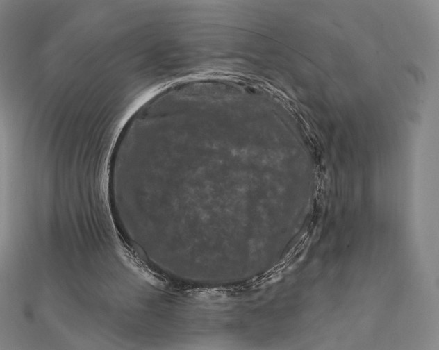 X0000112060100200908251030