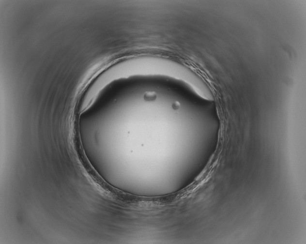 X0000112060101200908251030