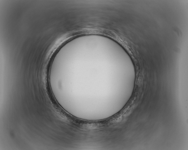 X0000112060103200908251030