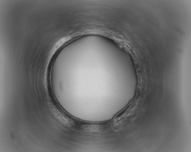 X0000112060104200908251030