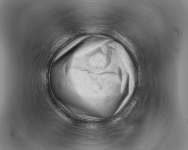 X0000112060105200908251030