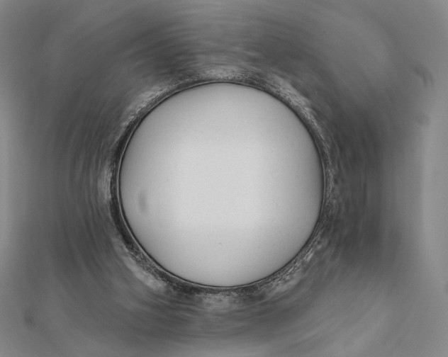 X0000112060106200908251030