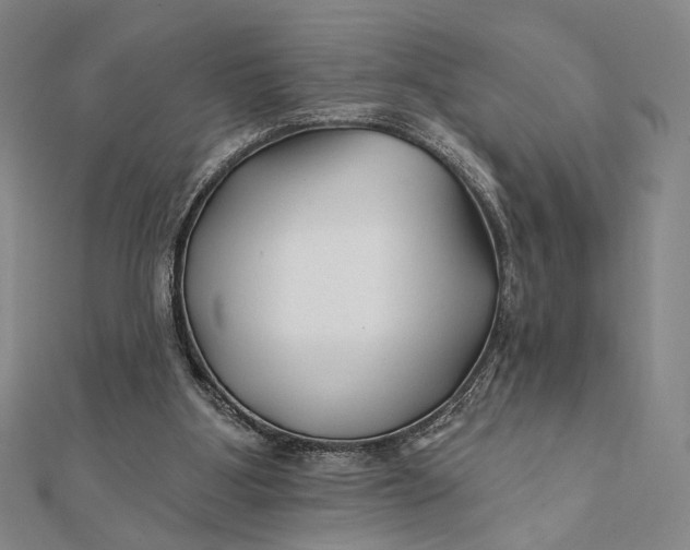 X0000112060107200908251030