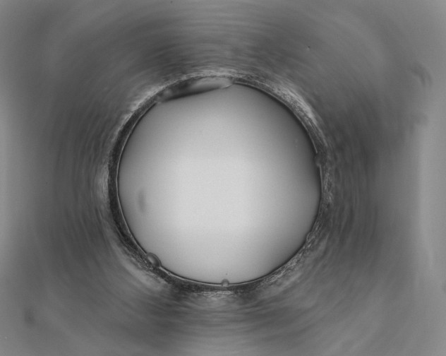 X0000112060108200908251030