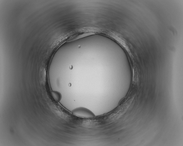 X0000112060109200908251030