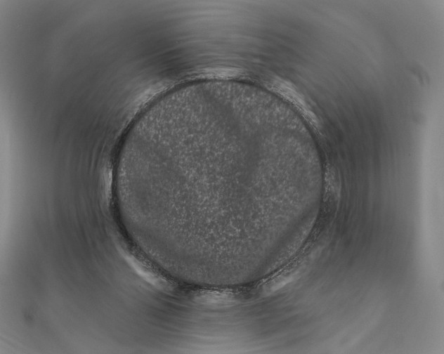 X0000112060110200908251030