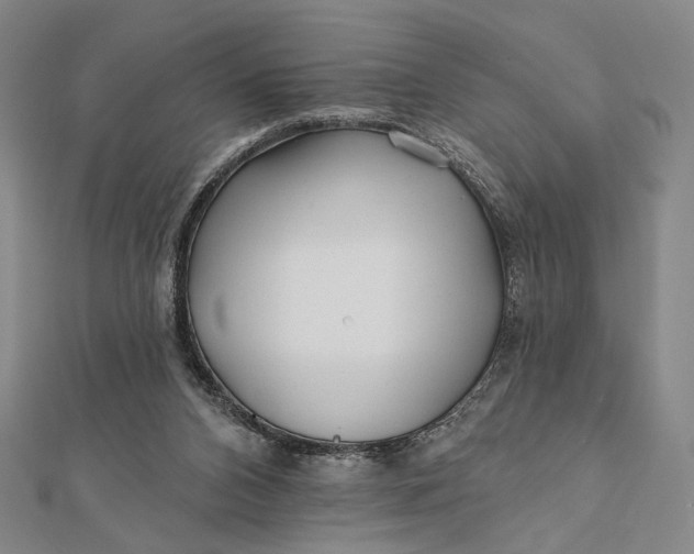 X0000112060112200908251030