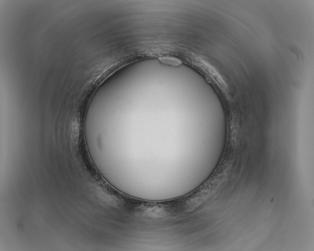 X0000112060113200908251030