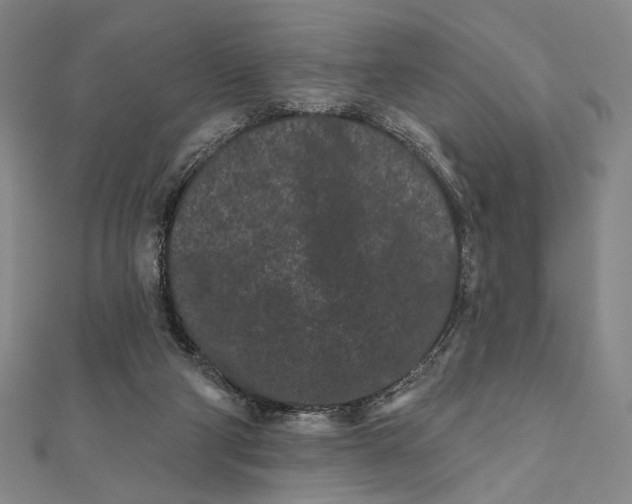 X0000112060114200908251030