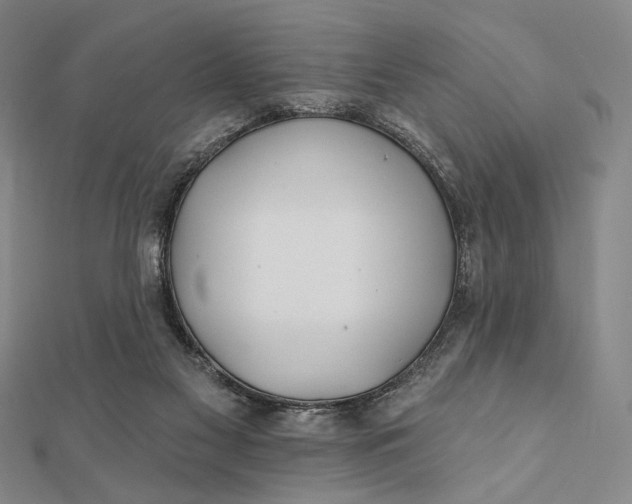 X0000112060117200908251030