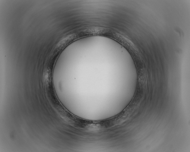 X0000112060119200908251030