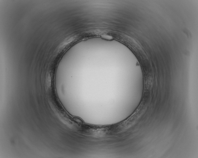 X0000112060120200908251030